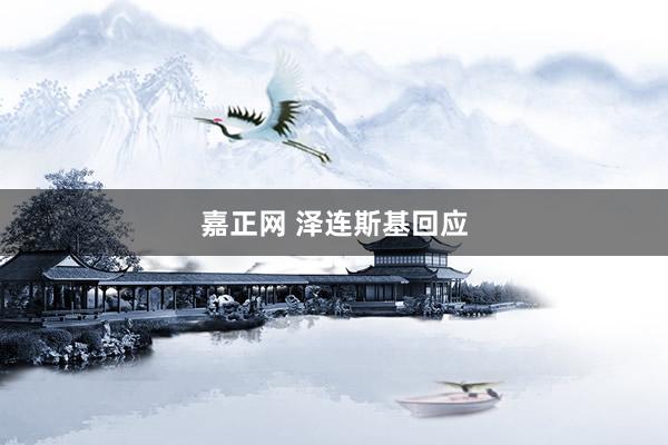 嘉正网 泽连斯基回应