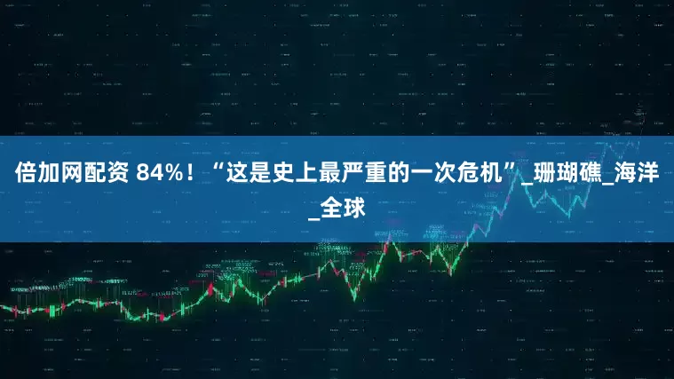 倍加网配资 84%！“这是史上最严重的一次危机”_珊瑚礁_海洋_全球
