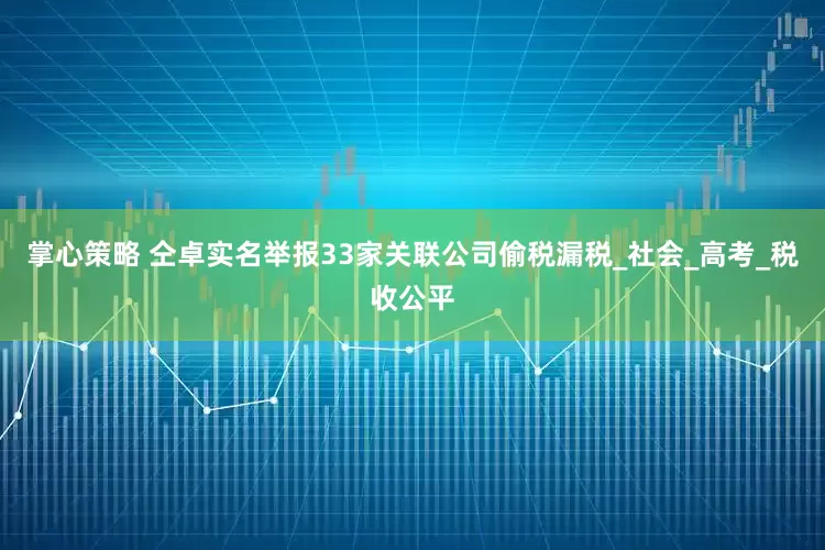 掌心策略 仝卓实名举报33家关联公司偷税漏税_社会_高考_税收公平
