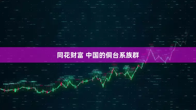同花财富 中国的侗台系族群